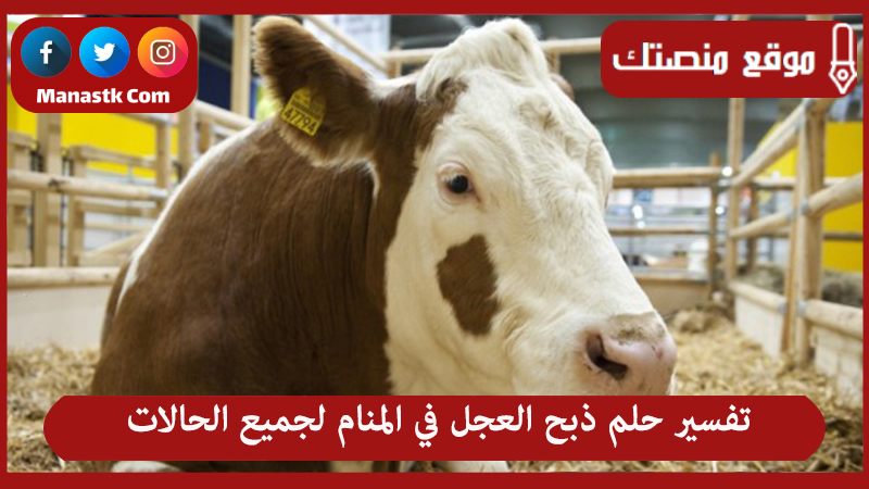 تفسير حلم ذبح العجل في المنام لجميع الحالات