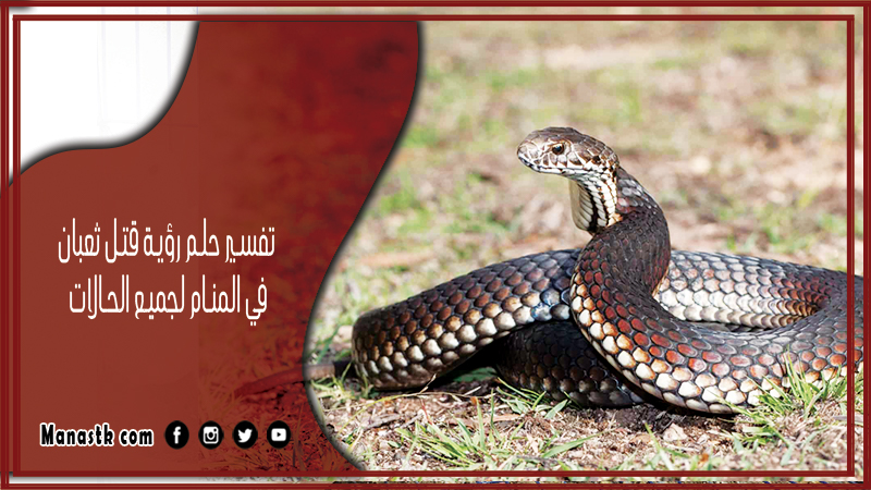 تفسير حلم الثعبان في المنام - خاتمة