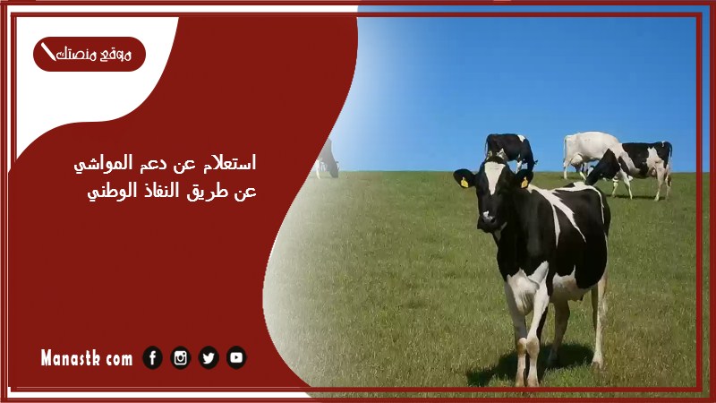استعلام عن دعم المواشي عن طريق النفاذ الوطني