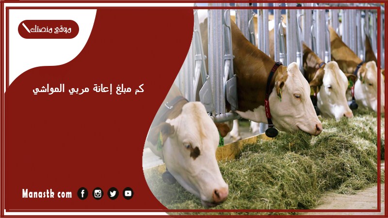 كم مبلغ إعانة مربي المواشي