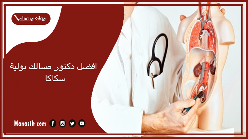افضل دكتور مسالك بولية سكاكا