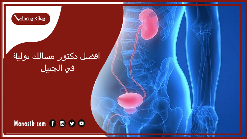 افضل دكتور مسالك بولية في الجبيل