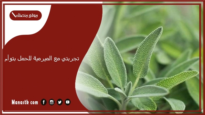 تجربتي مع الميرمية للحمل بتوأم