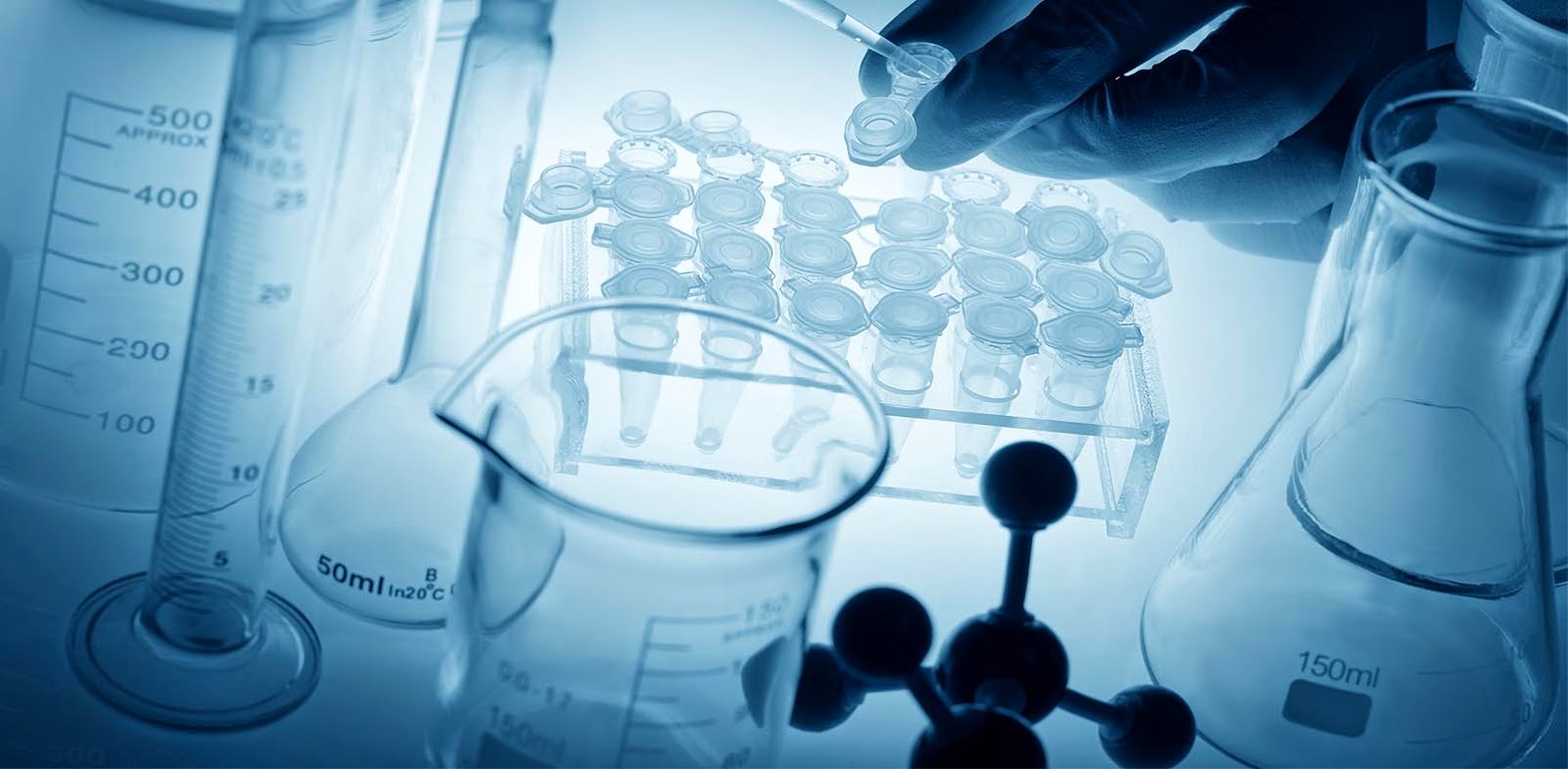 أرقام عناوين فروع معمل رويال لاب royal lab مصر 2025