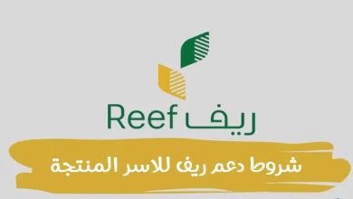 رابط وخطوات التسجيل في دعم ريف