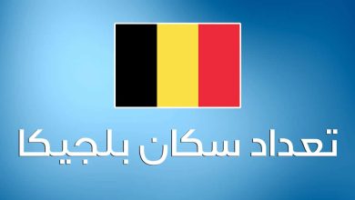 عدد سكان بلجيكا