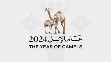 عام الإبل.. ما هو السبب وراء تسمية عام 2024 بهذا الاسم؟