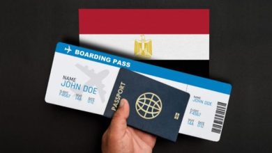 استعلام عن رحلة طيران