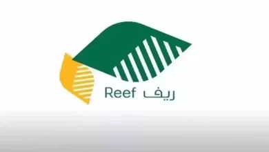 الشروط والأوراق المطلوبة للحصول على دعم الأسر المنتجة
