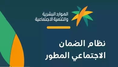 الفئات المستحقة للضمان