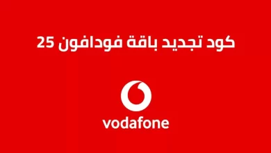 باقة فودافون فليكس 25