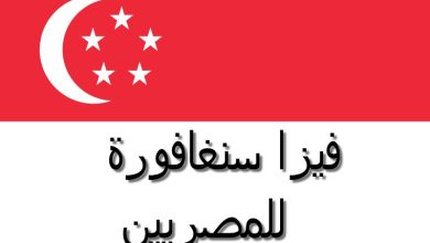 تأشيرة سنغافورة للمصريين
