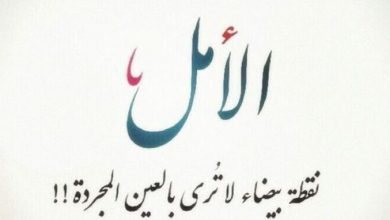 حكمة عن الحياة والتفاؤل