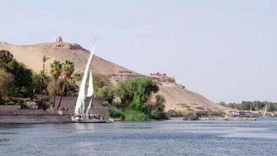 حماية النيل من التلوث