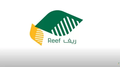 ما هو دعم ريف للعاطلين