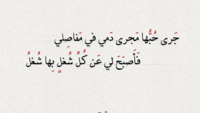 شعر غزل للمتنبي