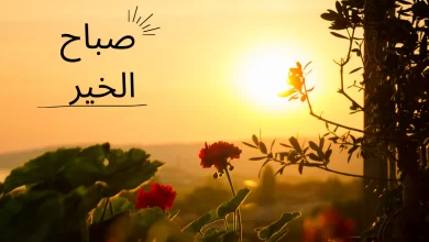 صور بوستات صباح الخيرات