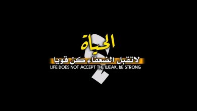 عبارات فخمة للتصميم
