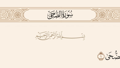 فضل صلاة الضحى