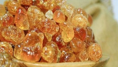 فوائد الصمغ العربي للتخسيس