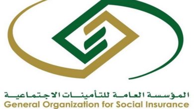 كم راتب السعودة؟ طريقة التسجيل والشروط والأوراق المطلوبة "تفاصيل كاملة"