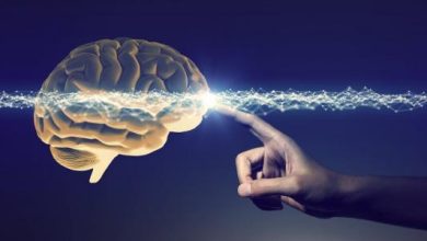كيف تعزز قوة الإرادة لديك وكيف تقويها؟