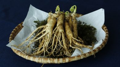 معلومات عن الجنسنج واهم فوائده
