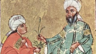 نبذة عن أبي بكر الرازي
