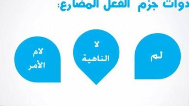 أدوات الجزم