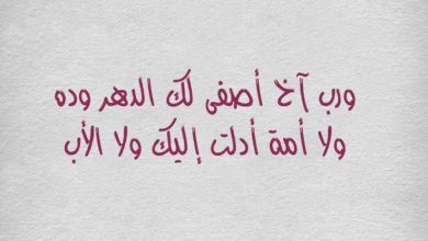 أجمل عبارات الأخوة
