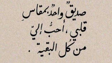 حكم وأمثال عن الصداقة