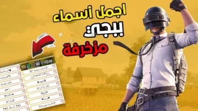 اسماء ببجي