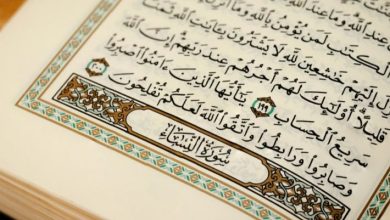 آيات من القرآن الكريم