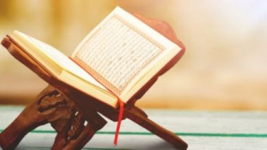 أبرز 10 آيات تدل على قدرة الله