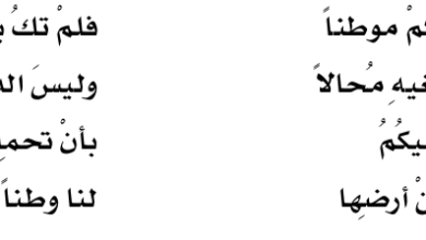 أبيات شعر عن القدس
