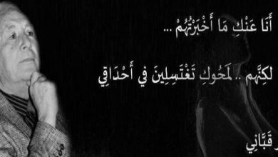 أجمل أبيات الحب