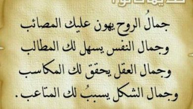 أجمل حكمة في العالم