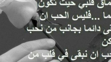 أجمل كلام جميل من القلب