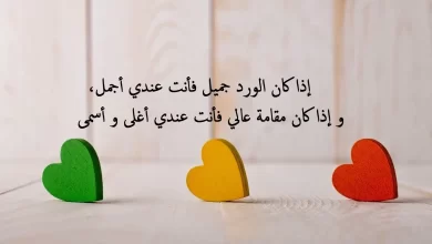 أحلى الرسائل القصيرة مميزة وجميلة عن الحب