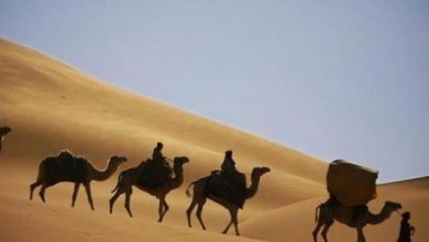 أدب الرحلات في العصر الأندلسي