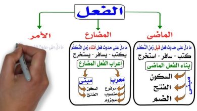 إعراب الفعل الماضي