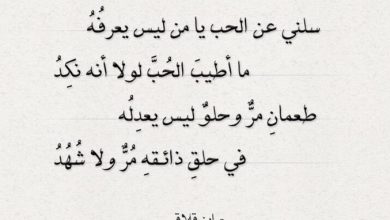 أبيات المتنبي