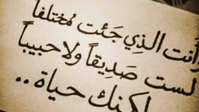 ابيات شعر قصيرة