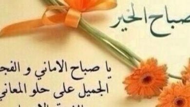 اجمل العبارات الجميله