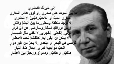 احلى اشعار حب