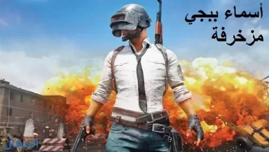 اسماء ببجي