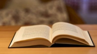 اقتباسات من رواية الأبله