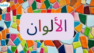 الألوان الأساسية