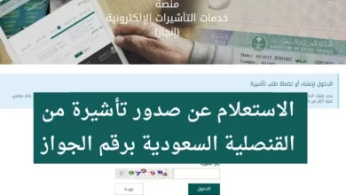 الاستعلام عن التأشيرة