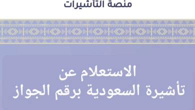 الاستعلام عن تأشيرة السعودية